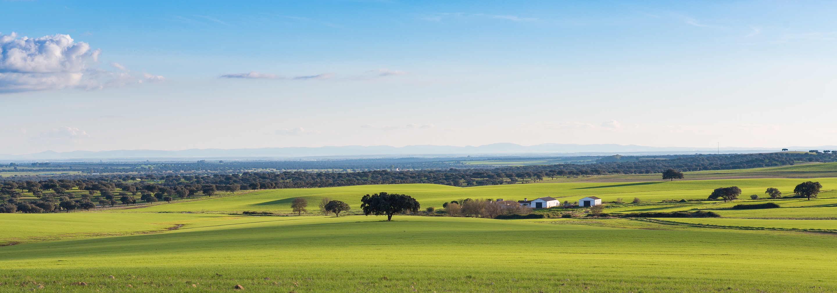 Foto_Previsiones_Extremadura_2