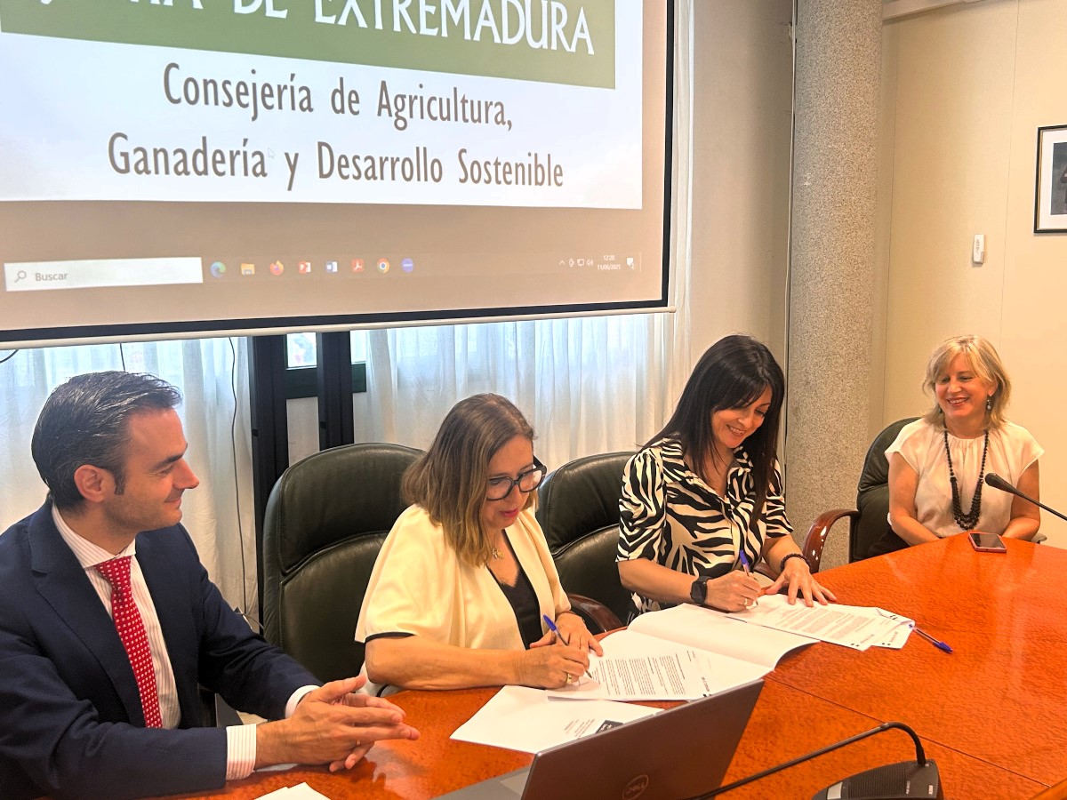 Firmamos un convenio con la Junta de Extremadura para la gestión de préstamos al olivar y viñedo de secano