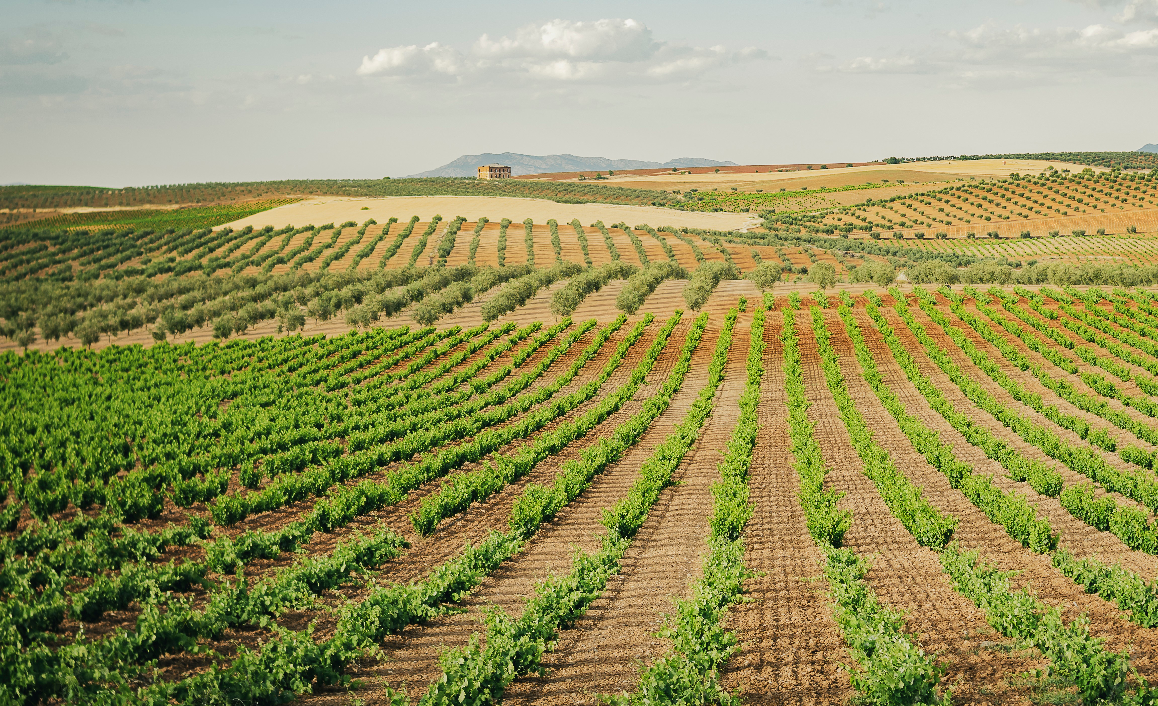 Foto_Extremadura