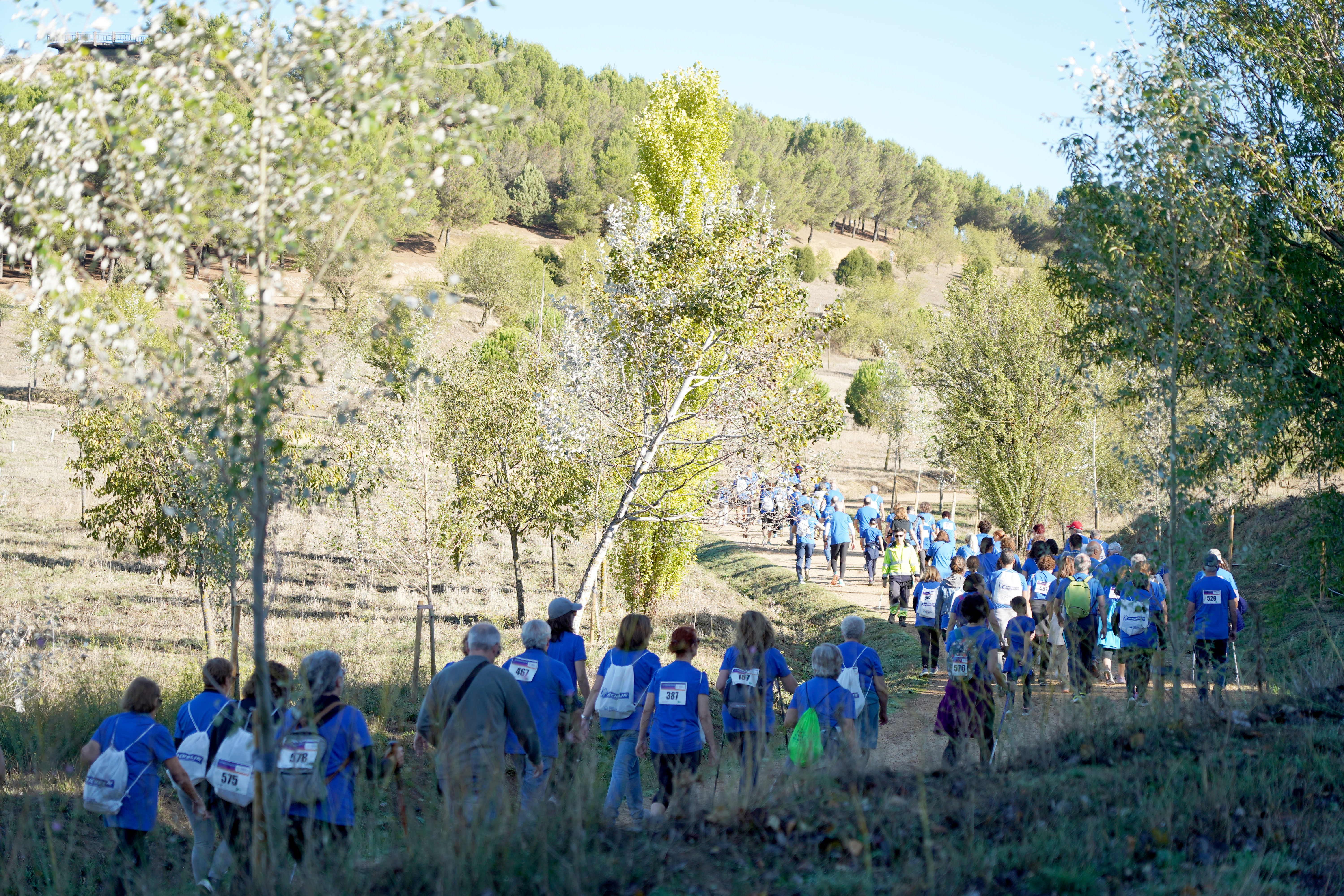 Marcha_Banco_Alimentos_2024