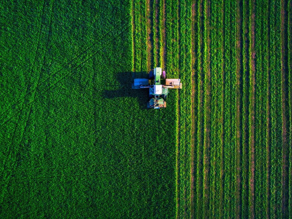 campo-unicaja-banco-agricultura