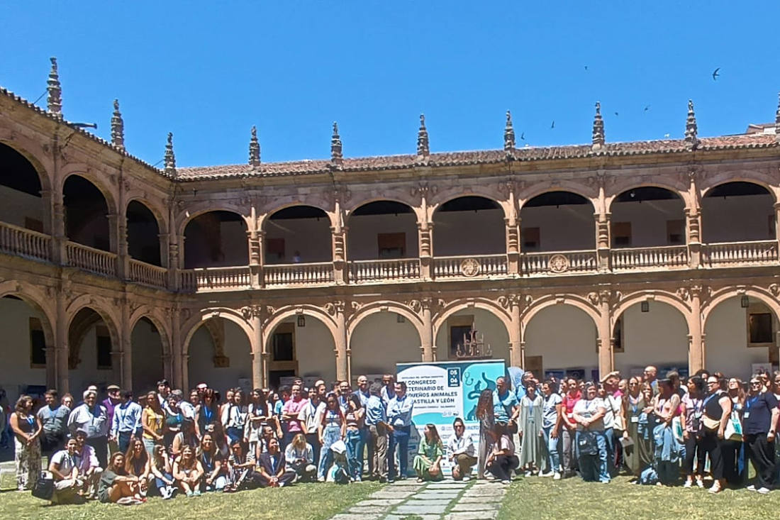Profesionales y empresas del sector veterinario asisten al  IV Congreso de Pequeños Animales de Castilla y León