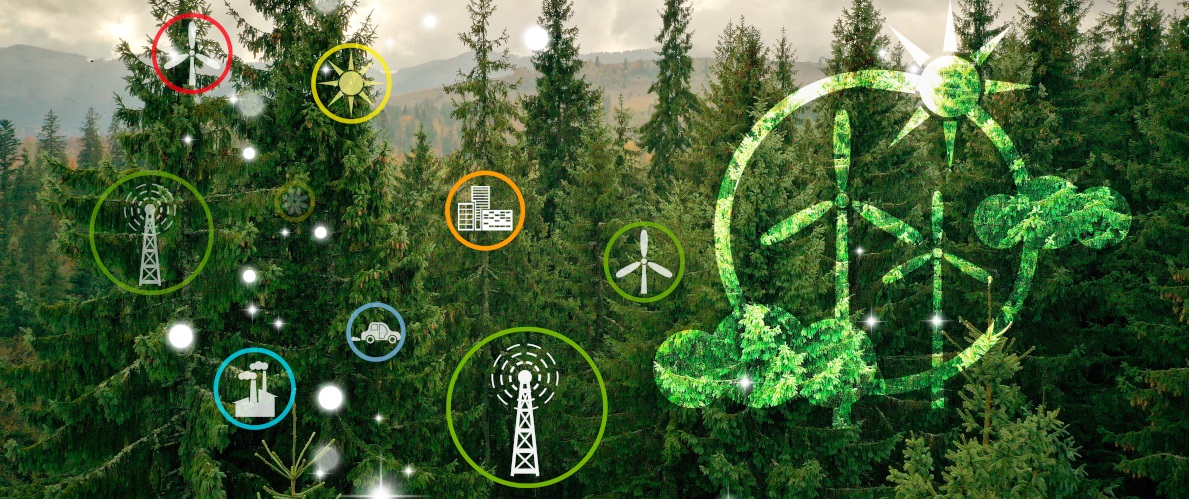 Renovación de la alianza con la Fundación Biodiversidad para facilitar la financiación de proyectos vinculados con el desarrollo sostenible