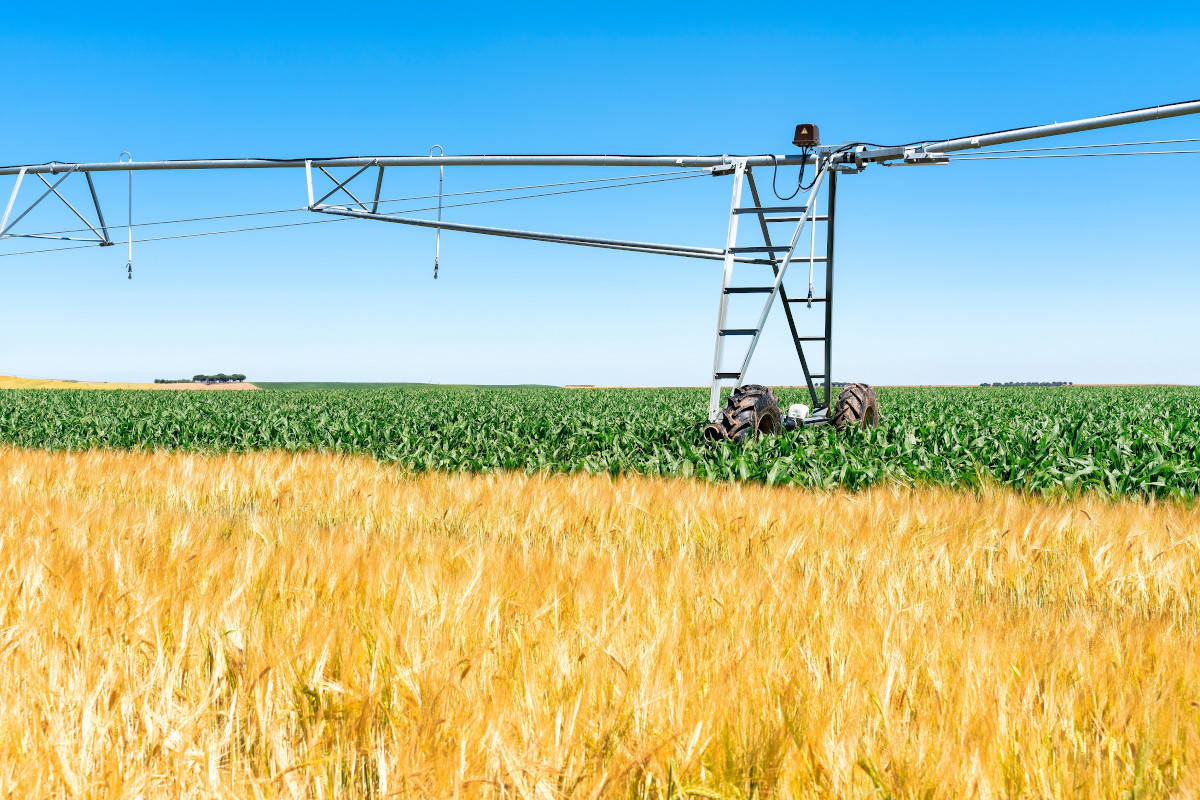 Unicaja Banco publica su informe ‘El Sector Agrario y la Industria Alimentaria en España: Principales rasgos y análisis regional en 2022’