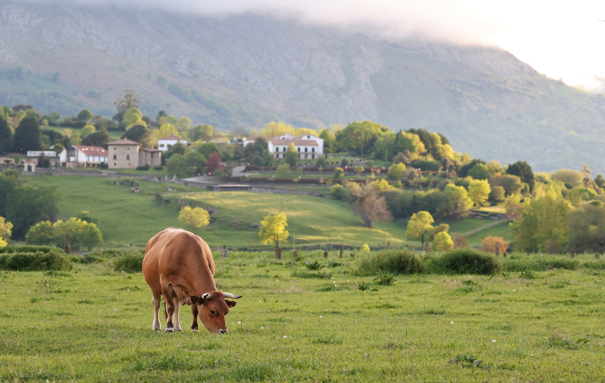 informe-analistas-asturias-3-23