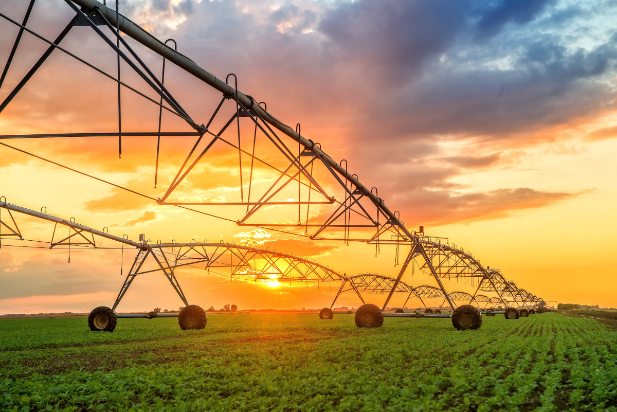 seguro-agro-campo-2023